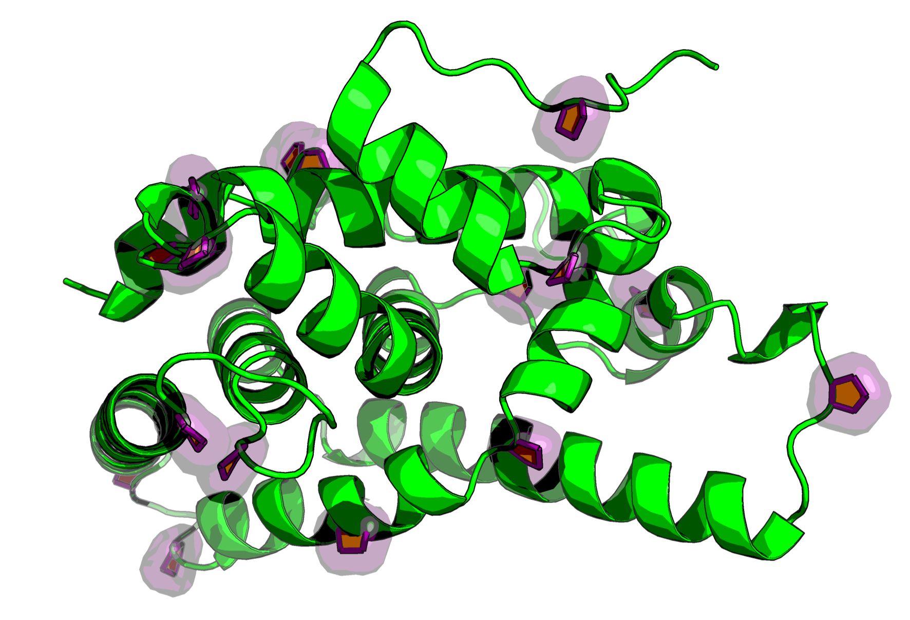 PDB file with Proline script results