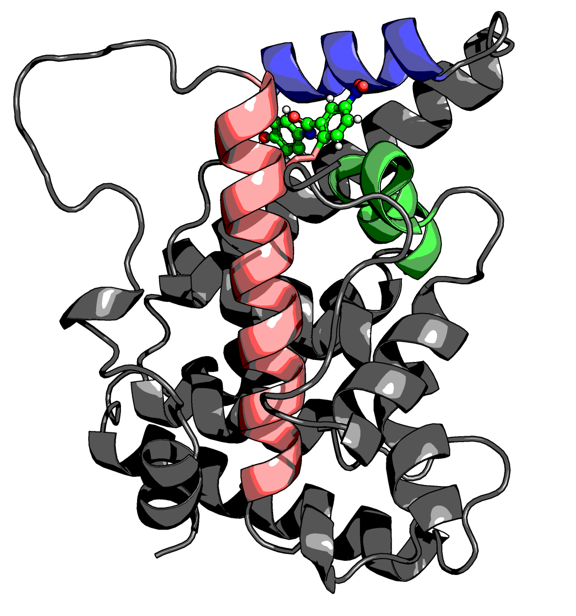 Protein ribbon visualization with highlighted helices and a bound molecule