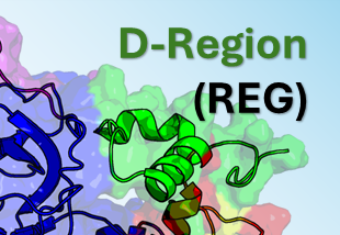 Proline Rich Regions